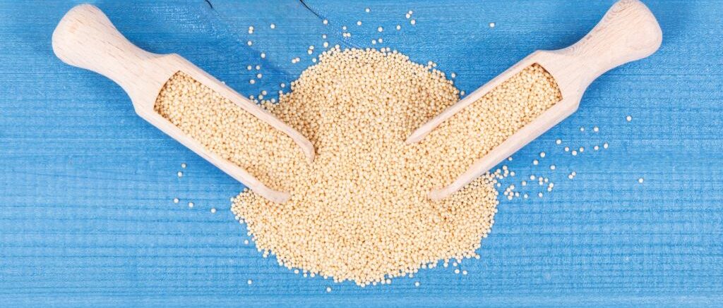 Puffed Amaranth vs Popped Amaranth in Bars, Granola & Cereals